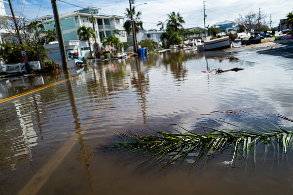 Le 10 octobre 2024 à Treasure Island, en Floride. (Photo Spencer Platt/Getty Images)