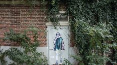 Des portraits de Gisèle Pelicot, devenue héroïne, essaiment sur les murs de Lille