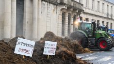 « Pas de pays sans paysan » : la mobilisation des agriculteurs reprend de l’ampleur