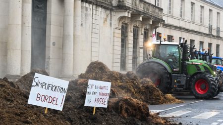 Manifestation des agriculteurs : une « tolérance zéro », prévient Bruno Retailleau en cas de « blocage durable »