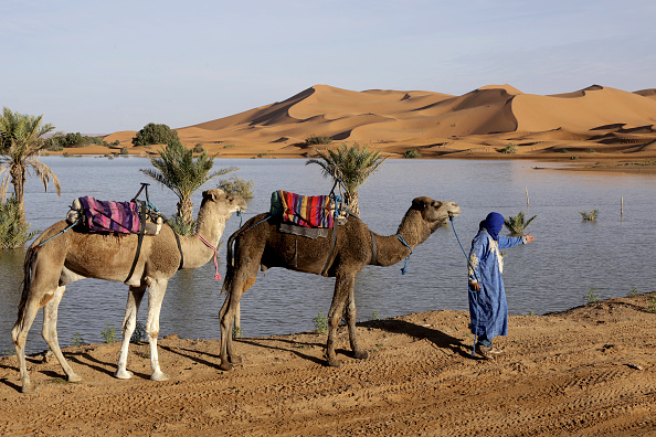 Le lac Yasmina dans le désert du Sahara au Maroc, le 20 octobre 2024. (Photo -/AFP via Getty Images)