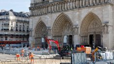 Notre-Dame de Paris : une centaine d’artisans, entrepreneurs, nommés « chevaliers » de la Légion d’honneur et de l’ordre du mérite