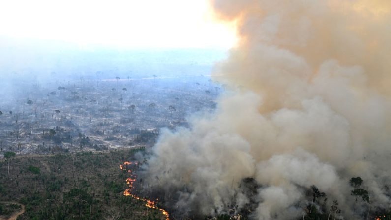 Vue aérienne d'une zone de la forêt amazonienne déboisée par des incendies illégaux dans la municipalité de Labrea, État d'Amazonas, Brésil, prise le 20 août 2024. (EVARISTO SA/AFP via Getty Images)