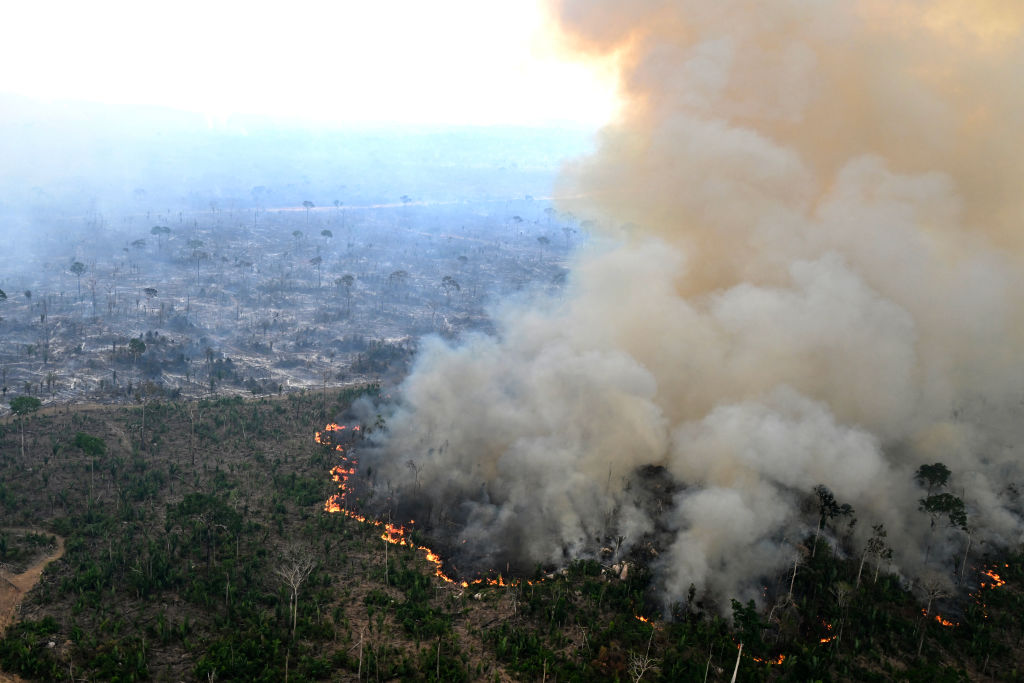 L'UE prête à retarder d'un an la loi anti-déforestation