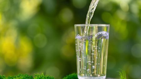 Boire ou ne pas boire : le dilemme de l’eau à l’heure du repas