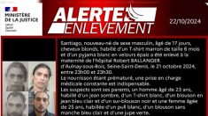 Alerte enlèvement : Santiago, un bébé de 17 jours enlevé dans une maternité de Seine-Saint-Denis, ses parents suspectés