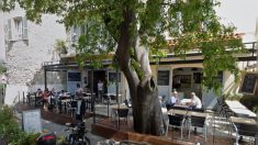 Près de Nice : un aigle se pose sur la terrasse d’un restaurant à Antibes, sous les yeux médusés des clients