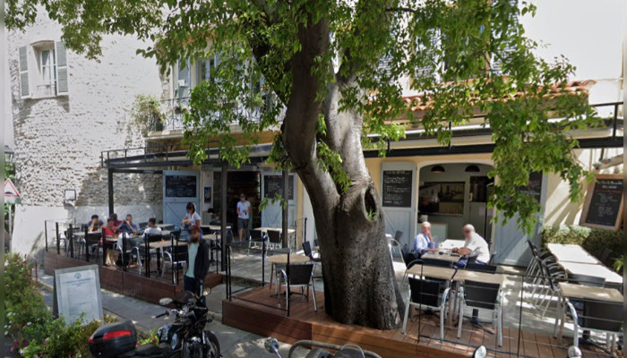 Un aigle s'est posé sur la terrasse du restaurant Les filles du Micocoulier à Antibes, près de Nice (Alpes-Maritimes), le 10 octobre 2024. (Capture d’écran Google Maps)