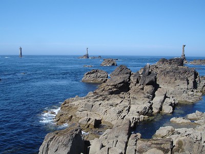 Finistère : un homard d’or, spécimen extrêmement rare, pêché sur l’île d’Ouessant