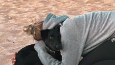 Un moment « magique » : Amalka, la chienne échappée d’un avion à l’aéroport Charles-de-Gaulle, retrouve sa maîtresse après neuf jours de fugue