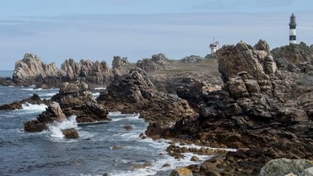 Finistère : un homard d’or, spécimen extrêmement rare, pêché sur l’île d’Ouessant