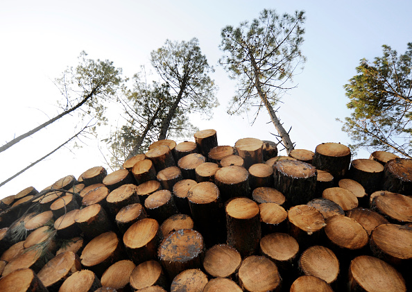 Massif de la Chartreuse : une association distribue gratuitement du bois de chauffage aux personnes en difficultés