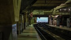 Branches sur la voie, sangliers : les péripéties des voyageurs du train Caen-Paris qui accuse plus de 7 heures de retard