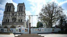 Notre-Dame de Paris : dessins d’enfant, cartes postales, dons… un grand élan de solidarité d’anonymes du monde entier