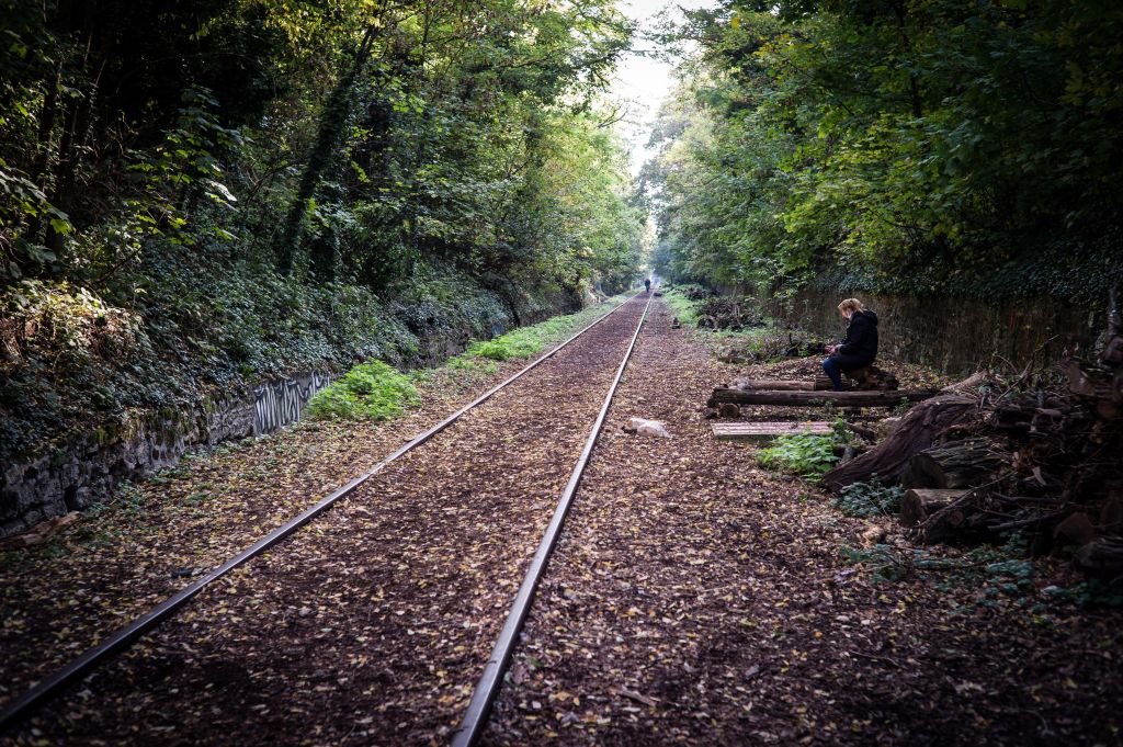 Branches sur la voie, sangliers : les péripéties des voyageurs du train Caen-Paris qui accuse plus de 7 heures de retard