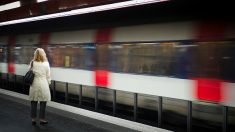 Agression à coups de hache dans le RER à Ozoir-la-Ferrière : quatre mineurs présentés à un juge