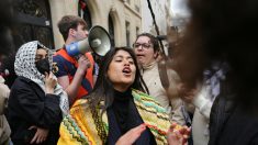 Rima Hassan interdite de conférence à Sciences Po : le Conseil d’État donne raison à l’école