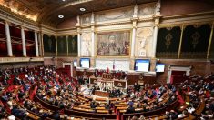 Budget : une nouvelle épidémie de taxes créées à l’Assemblée nationale