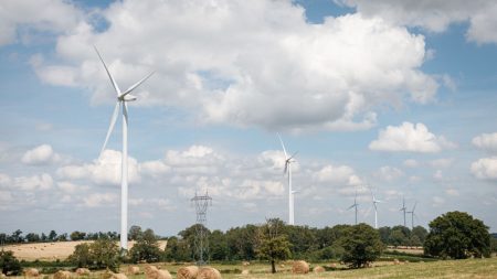 « Les animaux paniquent » : dans la Somme, des éleveurs dénoncent l’impact des éoliennes