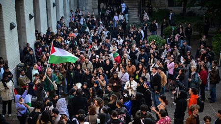 « Israël criminel, Yaël complice » : des tags et une manifestation d’étudiants pro-palestiniens contre la venue de Yaël Braun-Pivet à Lyon