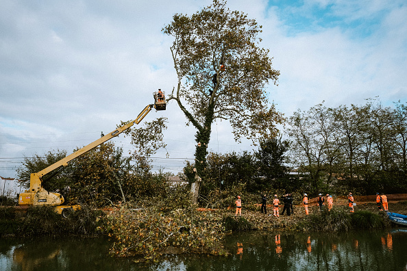 Haute-Garonne : des dizaines d'arbres coupés sur le tracé de la LGV Toulouse-Bordeaux malgré les "écureuils"