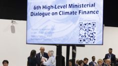 Finance climatique : qui paie quoi et qui veut quoi à la COP29 ?