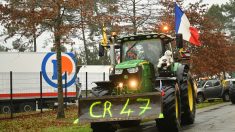 Les agriculteurs de la CR47 quittent le port de commerce de Bordeaux, mais « la guerre est loin d’être gagnée »