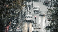 Tempête Caetano : un policier, gravement blessé dans l’accident routier dans le Val-de-Marne, est décédé