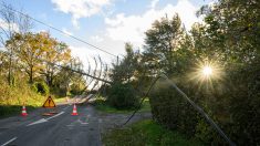 Tempête Caetano : 47.000 foyers encore sans électricité