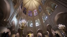 Visite d’Emmanuel Macron à la cathédrale Notre-Dame, restaurée depuis son incendie en 2019