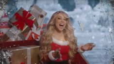 Mariah Carey, camion-poubelle et panda : insolites d’une Amérique en campagne