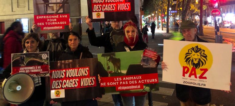 Condition animale : France Télévisions précurseuse en limitant l'emploi d'animaux sur les tournages