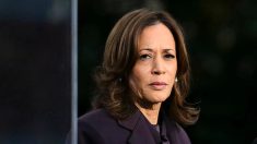 Kamala Harris est le premier choix des démocrates pour l’élection présidentielle de 2028