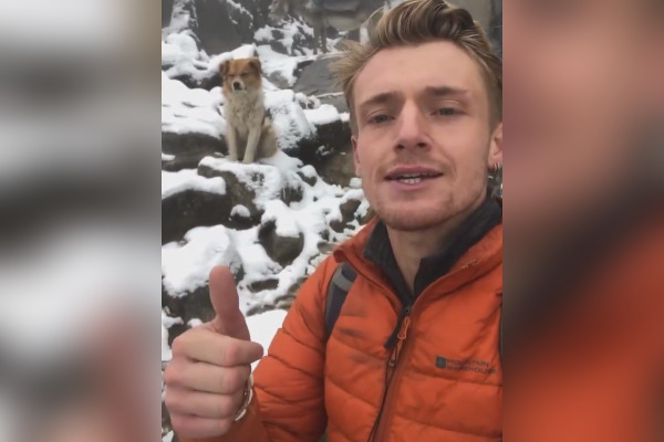 Perdu à 4600 m d’altitude lors d’une ascension au Pérou, un randonneur retrouve son chemin grâce à un chien errant