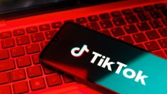 Après le suicide de deux adolescentes, TikTok assigné en justice par sept familles françaises