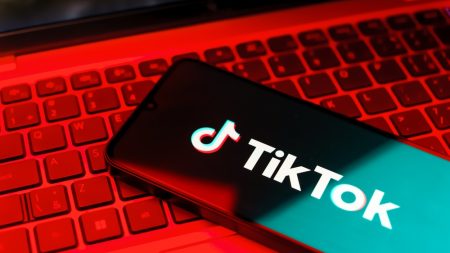 Après le suicide de deux adolescentes, TikTok assigné en justice par sept familles françaises