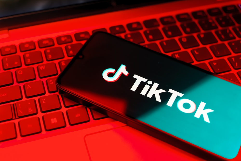 Après le suicide de deux adolescentes, TikTok assigné en justice par sept familles françaises