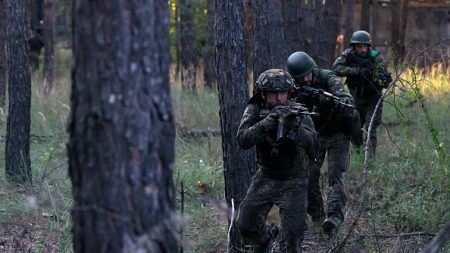 « Au moins 30 soldats nord-coréens ont été blessés ou tués » sur le sol russe, selon Kiev