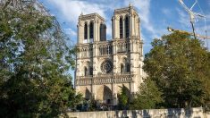 Réouverture de Notre-Dame : tous les créneaux de visite épuisés en quelques heures