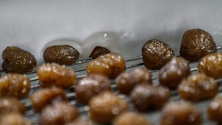 Le marron glacé, confiserie de Noël aux techniques de fabrication inchangées depuis le 19e siècle