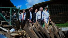 François Bayrou ne laissera pas Mayotte se reconstruire en une « une île bidonville »