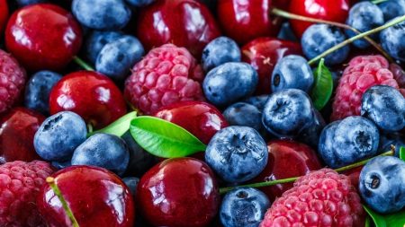 Dix délicieux fruits et un régime arc-en-ciel pour prévenir le cancer