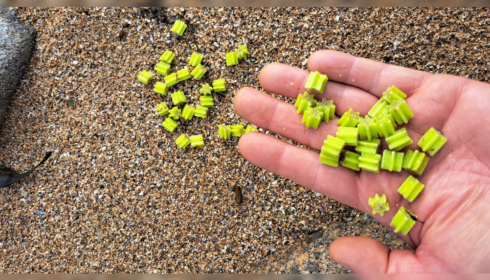 Des petites étoiles jaunes ont été retrouvées sur les plages du Finistère. (Capture d’écran compte Facebook Beach plastic .bretagne)