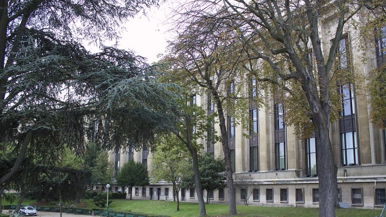 Façade sud-est du musée de l'Homme, occupant les deux étages de l'aile sud du palais de Chaillot. (Patrick Nouhailler's/Wikipédia)