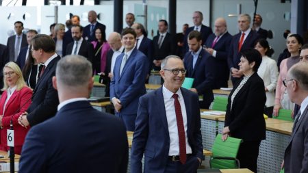 Un tribunal juge que l’agence de renseignement allemande peut qualifier l’AfD Saxe de « parti d’extrême droite »