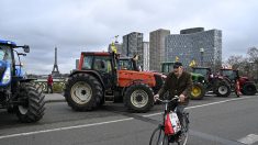 Mobilisation des agriculteurs le 5 janvier : la Coordination Rurale appelle à monter à Paris