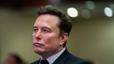 Geste « nazi » : Elon Musk accuse Wikipédia de reprendre la « propagande » des médias traditionnels