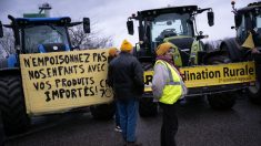 Agriculture : les manifestants de la Coordination rurale sont bloqués par les forces de l’ordre