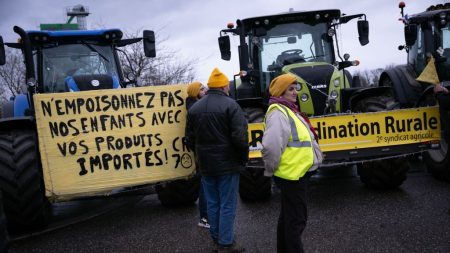 « Nous sommes un pays passoire » : pour défendre l’agriculture, une proposition de loi renforce les clauses miroirs