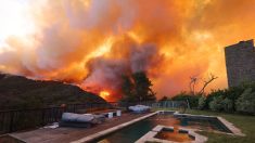 Incendies à Los Angeles : un millionnaire américain demande l’aide de « pompiers privés » et provoque un tollé